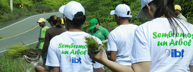 IBT Group