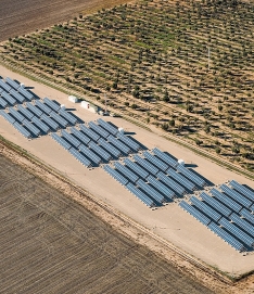 Tarifilla PV Los Molares (Córdoba)
