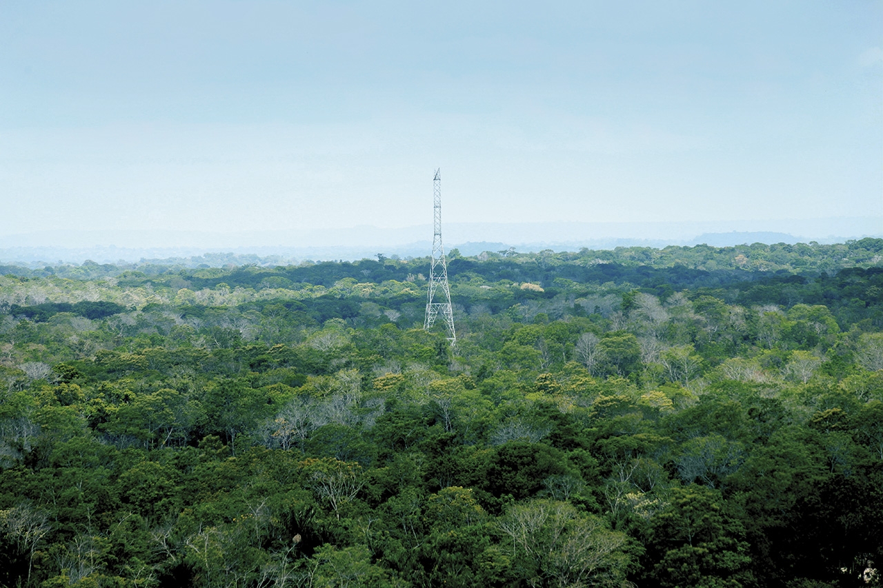 Proyecto Xingu